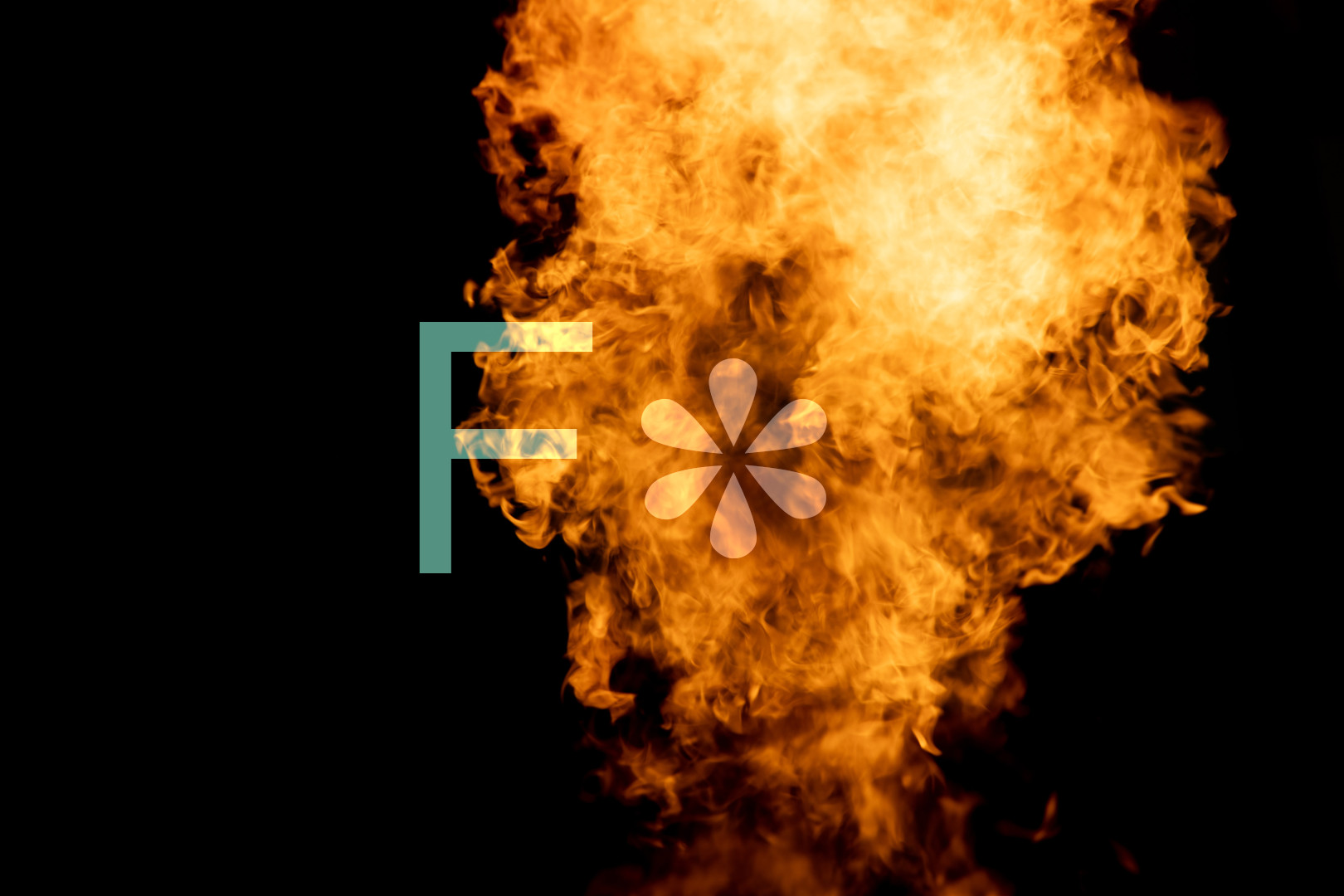 F Bomb