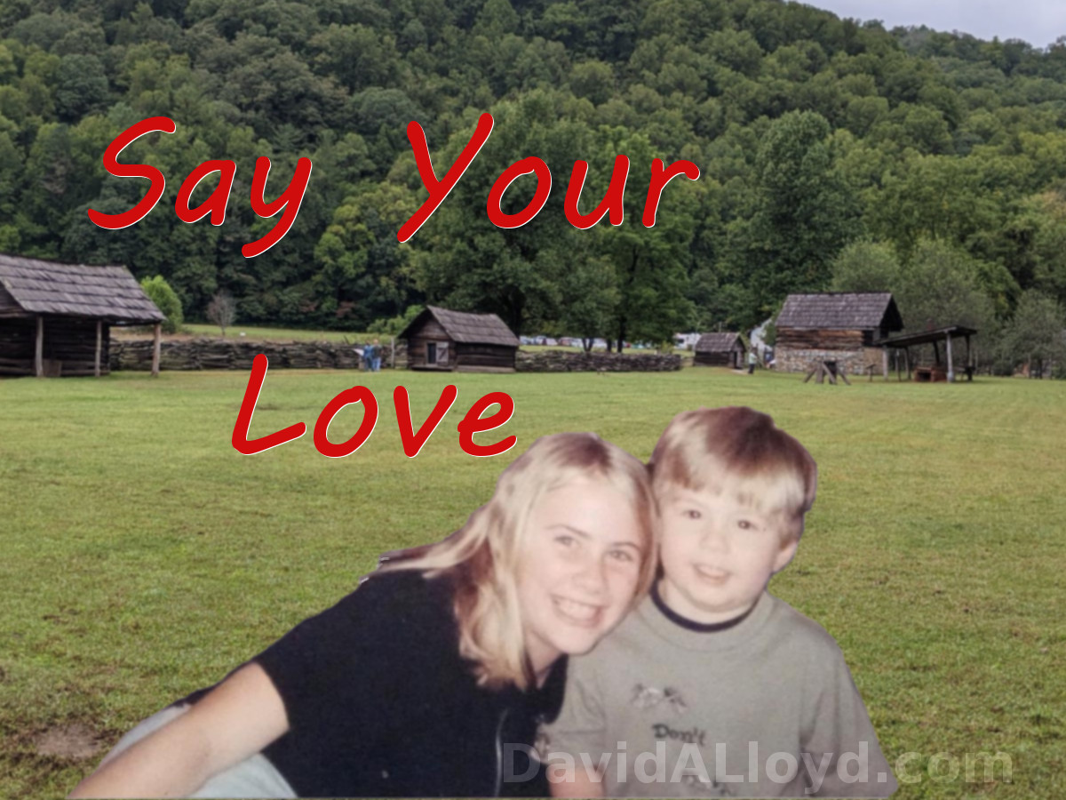 Say Your Love
