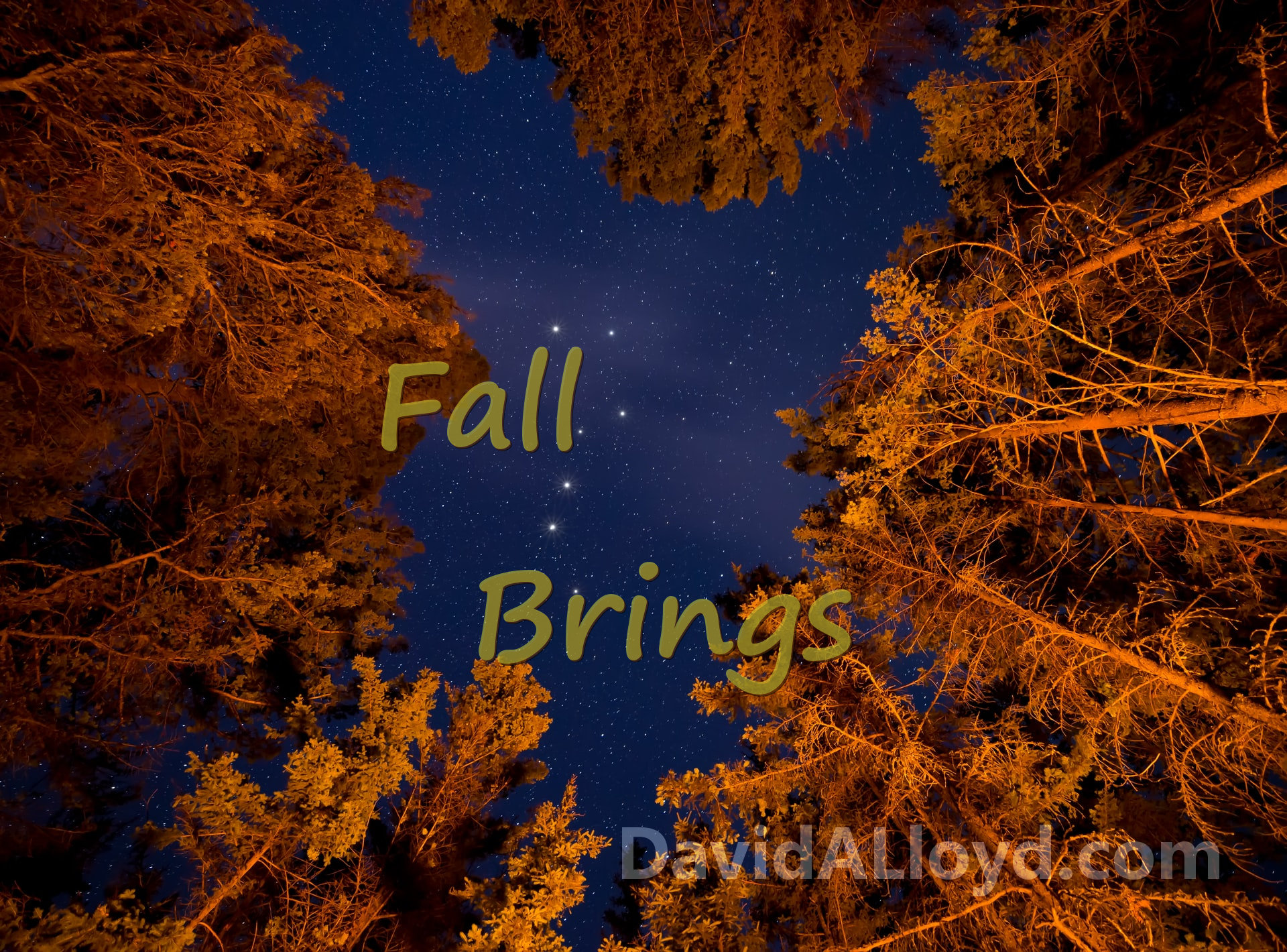 Fall Brings