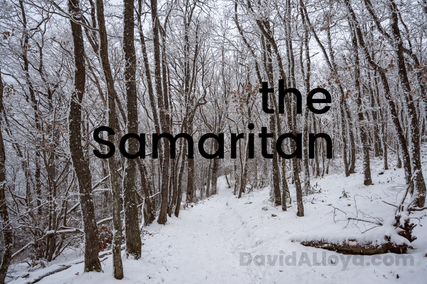the Samaritan