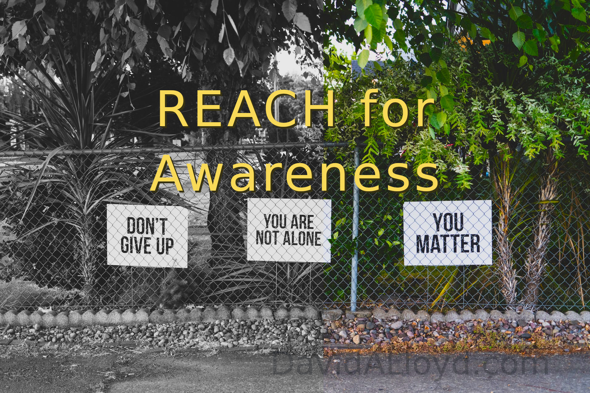 Reach for Awareness