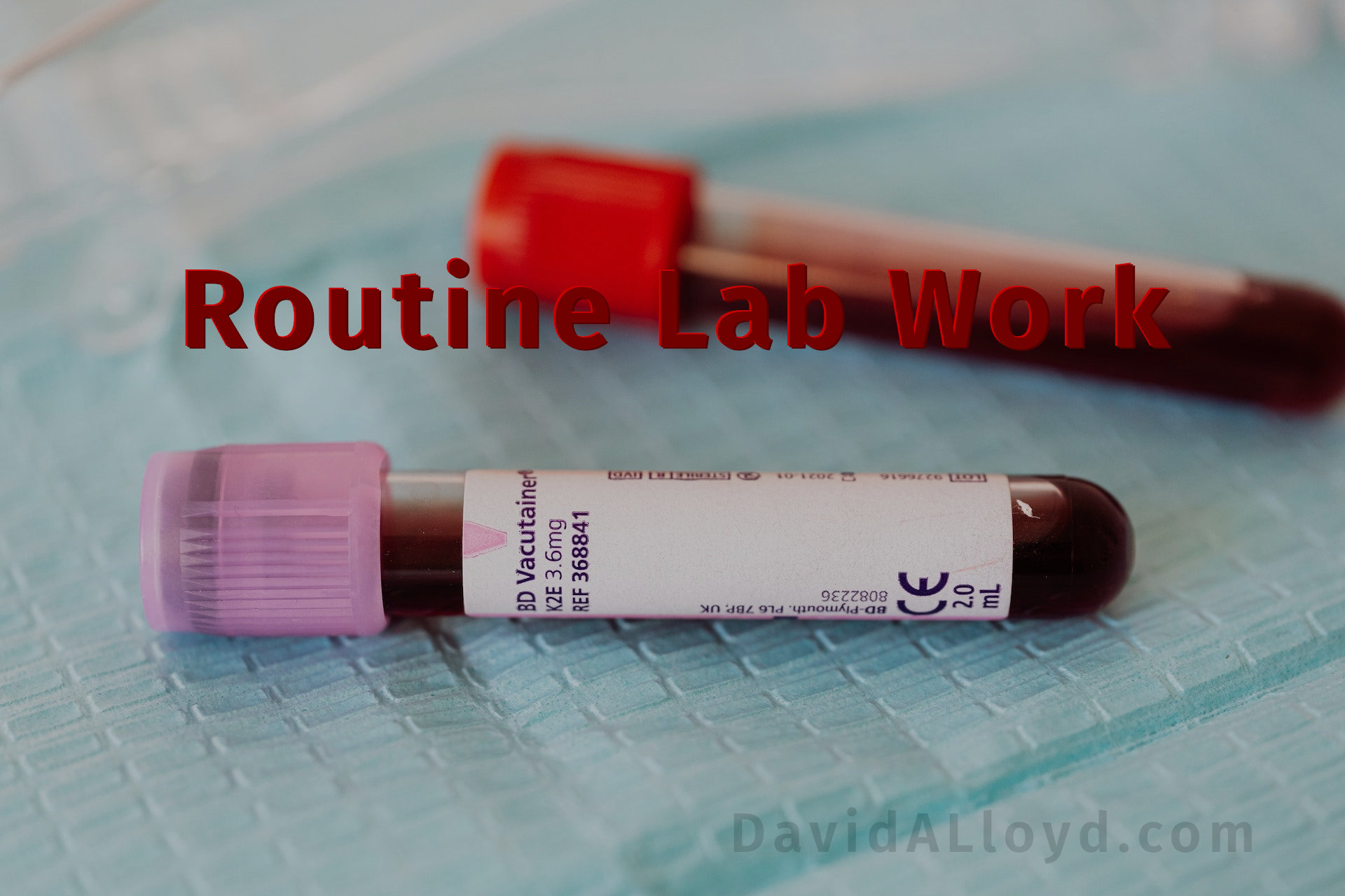 RoutineLab Work