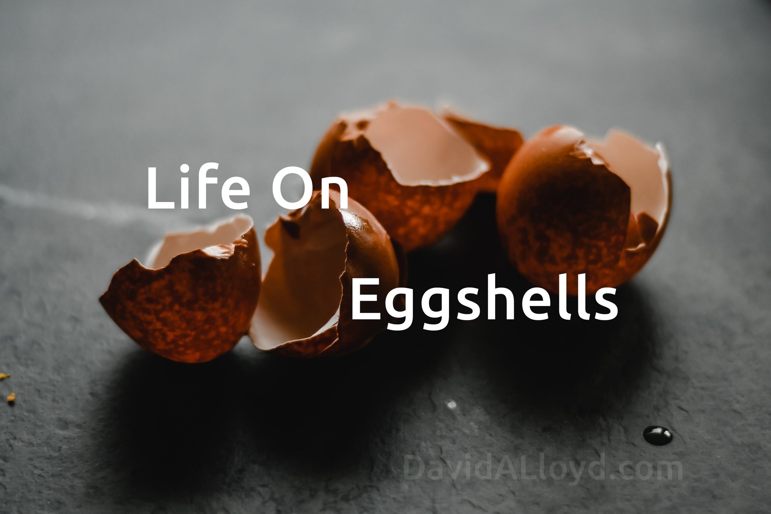 Life On Eggshells